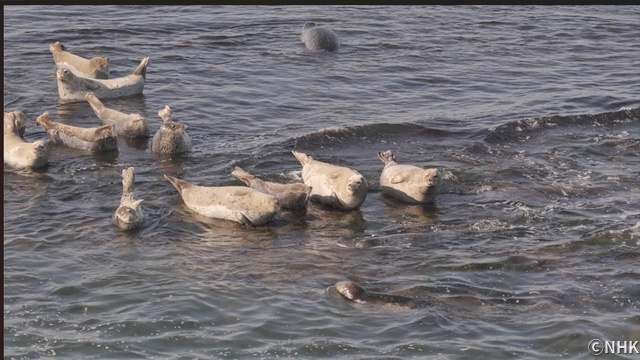 「さわやか自然百景」が放送1000回到達！　記念イベントも開催中