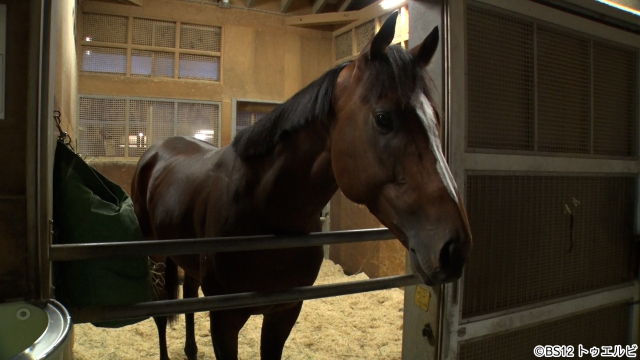 「昭和再生ファクトリー」宝塚記念馬メイショウタバルG1初勝利の裏側をよみがえらせる！