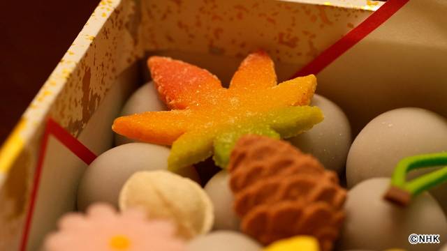 「世界がほれた　絶品！翔ケース」櫻井翔、自身の宝は“ファン”と“仲間”