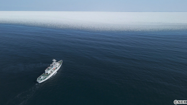 知床で今何が?「北海道道」拡大版でオホーツク海の気候変動がもたらす命の営みのほころびに迫る