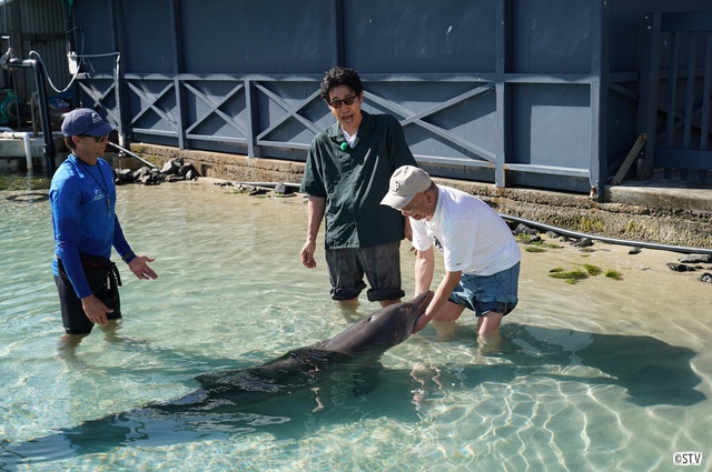 大泉洋、地元の最長寿レギュラー番組でオーストラリアへ「1×8いこうよ！」特番放送！
