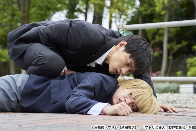 なにわ男子・西畑大吾主演「マトリと狂犬」第1話先行カット公開＆ED主題歌決定