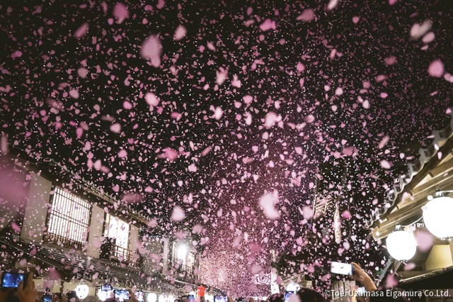 なにわ男子・長尾謙杜、リニューアルオープンする「太秦映画村」の太秦サポーターに就任