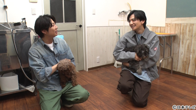 「みんなの動物園」生田斗真が相葉雅紀と保護犬トリミングに挑戦！　嵐結成前のユニット秘話も