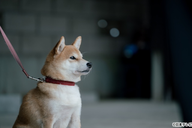 「冬のさ春のね」、文菜（杉咲花）が元カレ（倉悠貴）と再会…“距離”を見つめ直す第3話