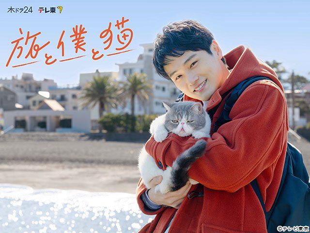【2026年冬ドラマガイド】木ドラ24「旅と僕と猫」
