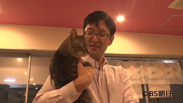 阪口珠美がいぬコメンテーターに！　ネコの日直前の「ネコいぬワイドショー」1時間SP