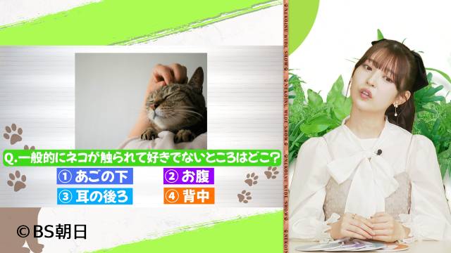 阪口珠美がいぬコメンテーターに！　ネコの日直前の「ネコいぬワイドショー」1時間SP