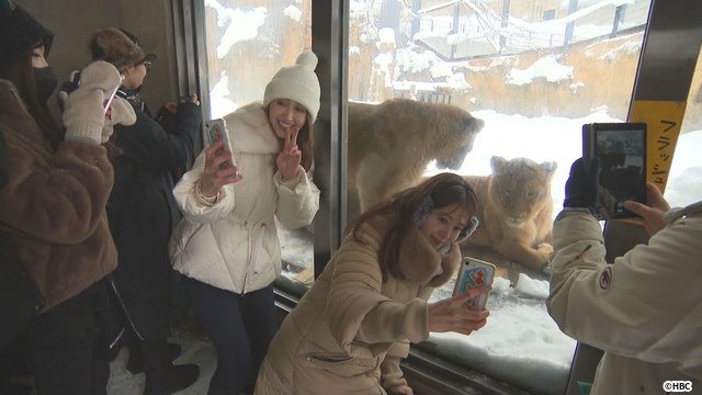 B&ZAI・橋本涼、矢花黎、鈴木悠仁が登別へ! 鬼サウナと絶品ピザを堪能「サタブラ」