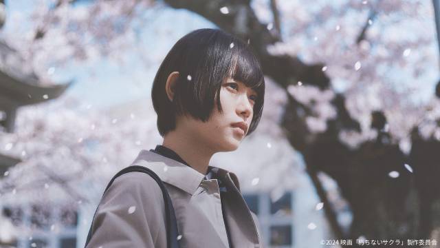 「ONE PIECE」S2、BTSカムバックライブの世界独占ライブ配信も【Netflix3月新着作品】