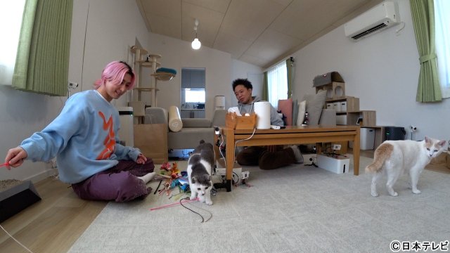 Snow Man・佐久間大介「みんなの動物園」で“師匠”サンシャイン池崎の愛猫をねぎらう