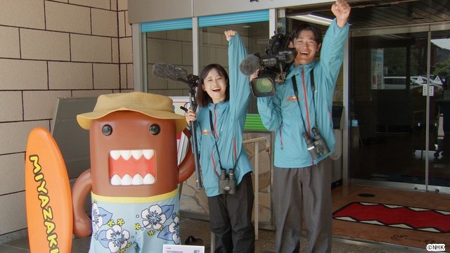 「ダーウィンが来た！」宮崎県の無人島を舞台に神秘的な海鳥・オオミズナギドリを徹底取材！