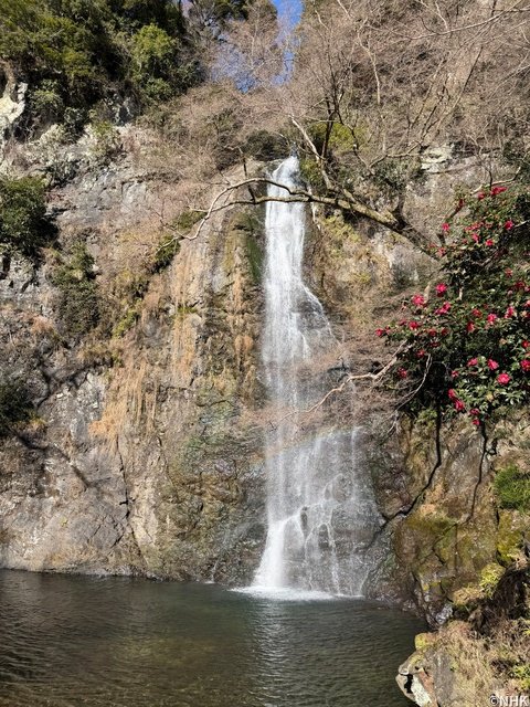 Aぇ! group・正門良規、地元・大阪を「てくてく」巡る「より大好きになりました！」