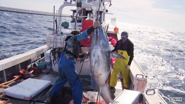 「プロフェッショナル 仕事の流儀」新ナレーターに河合優実、自身の仕事の流儀は「いつか出た時に」
