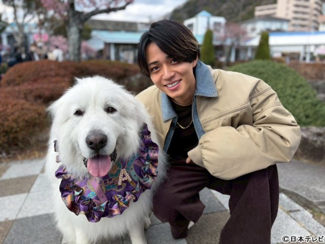 永瀬廉が河津桜の名所で感激旅＆大橋和也は北海道の道の駅で大ピンチ!?「笑コラ」3時間SP