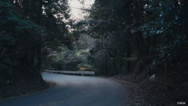 「九条の大罪」「地獄に堕ちるわよ」からWBCの舞台裏まで注目作が続々【Netflix4月新着作品】