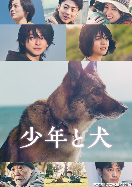 福本莉子＆ジェシー主演「お嬢と番犬くん」などが見放題【Prime Video4月新着作品】