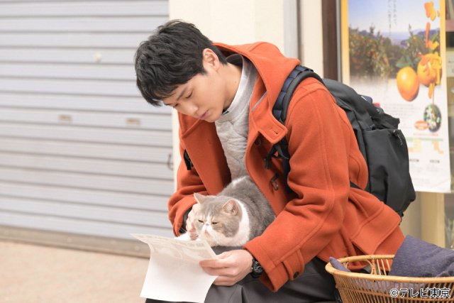 中川大輔演じる“猫と話せる”トラベルライターがおくる、癒やしの物語「旅と僕と猫」
