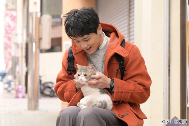 中川大輔演じる“猫と話せる”トラベルライターがおくる、癒やしの物語「旅と僕と猫」