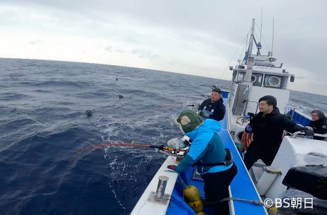 怪魚ハンター・マルコスが「魚が食べたい！」スペシャル企画に登場「ぶちかまします！」