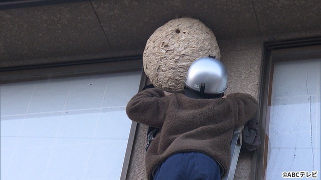 「探偵！ナイトスクープ」横山裕が2回目の特命局長に　石田靖とは「父親みたいな関係」