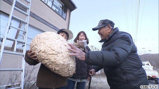 「探偵！ナイトスクープ」横山裕が2回目の特命局長に　石田靖とは「父親みたいな関係」