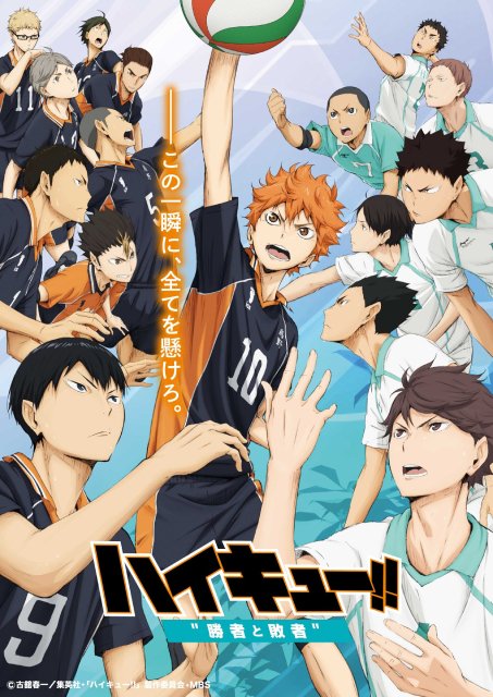 BS12で「ハイキュー!!」劇場版総集編を一挙放送　5月に4週連続、無料初放送も