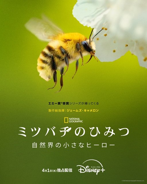 IU&ビョン・ウソク「21世紀の大君夫人」やSW新作アニメほか【ディズニープラス4月新着作品】