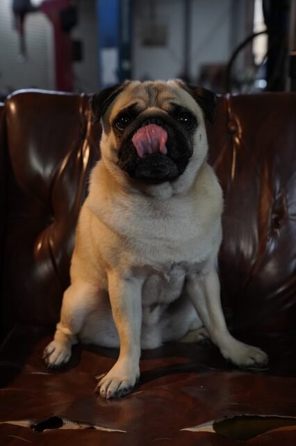 「九条の大罪」トリビア・柳楽優弥＆松村北斗の起用理由、町田啓太の“刺青メーク”の秘密