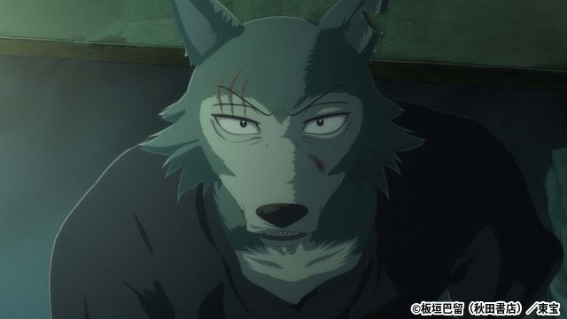 最終章配信中『BEASTARS FINAL SEASON』Part2　小林親弘＆沖野晃司インタビュー