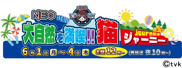 「猫のひたいほどワイドNEO」SPウィークは猫の手も借り隊が神奈川の自然を満喫!