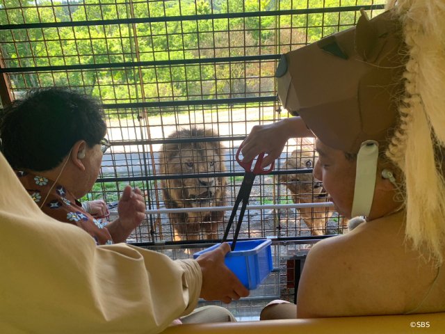 カンニング竹山と大西ライオンが猛獣に仰天「昼までダラット」サファリパークからドタバタ生中継