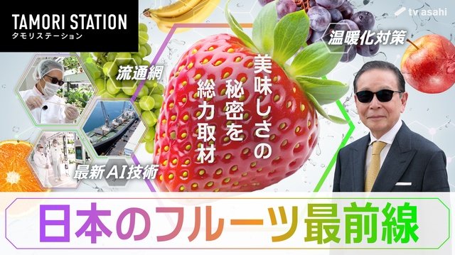 「タモリステーション」“AIが育てるイチゴ”にタモリ驚き 日本フルーツ特集で最新技術を深掘り