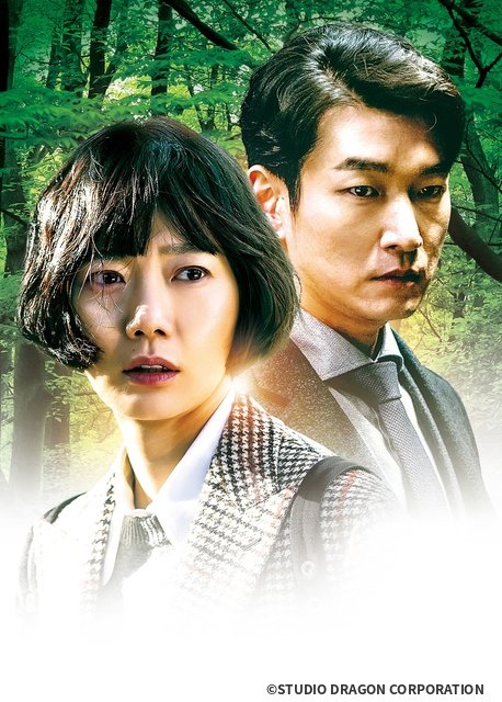 韓国を代表する2大俳優が共演! ドラマ「秘密の森~深い闇の向こうに~」BS12でスタート