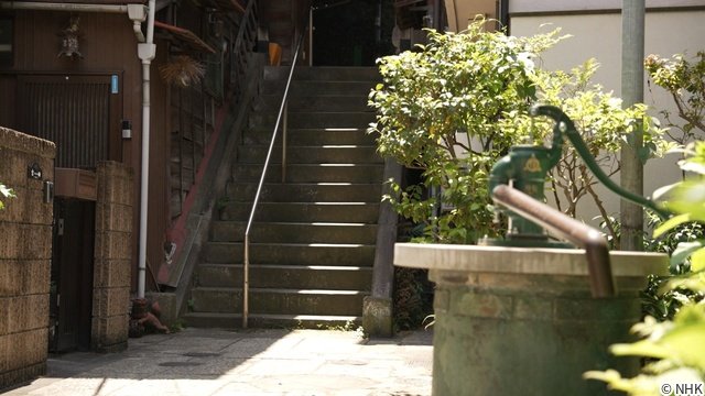 ピース・又吉&Aマッソ・加納が驚き “未確認の絶景=Z景”を専門家が徹底解説「階段編」