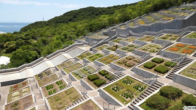 ピース・又吉&Aマッソ・加納が驚き “未確認の絶景=Z景”を専門家が徹底解説「階段編」
