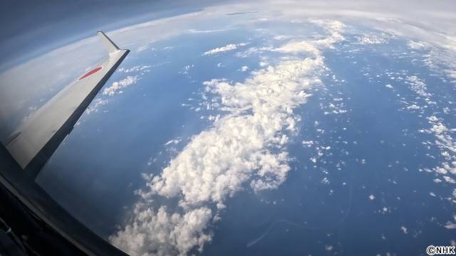 「東海ドまんなか!」7月は香り特集にゲスト峯岸みなみが登場 線状降水帯も深掘り
