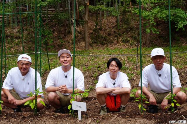 相葉雅紀らが“梅仕事”を学ぶ「マナブのおうち」第3弾に栗原はるみが登場　