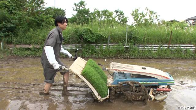 相葉雅紀らが“梅仕事”を学ぶ「マナブのおうち」第3弾に栗原はるみが登場　