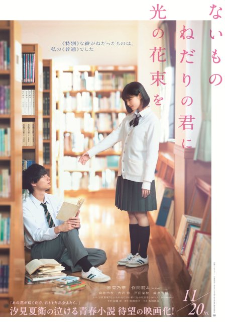 原菜乃華×作間龍斗、映画「ないものねだりの君に光の花束を」11月20日公開 特報映像も解禁
