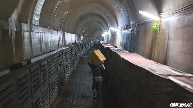 「トンネル王国」コットン＆エルフがVRでトンネルの秘密を体感　隠された人生ドラマに「ぶちアゲ」