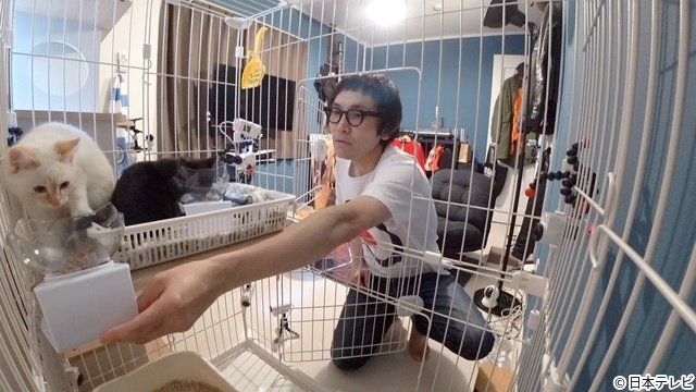 松村北斗が保護猫にメロメロ 氷川きよしはサンシャイン池崎のもとへ「嗚呼!!みんなの動物園」