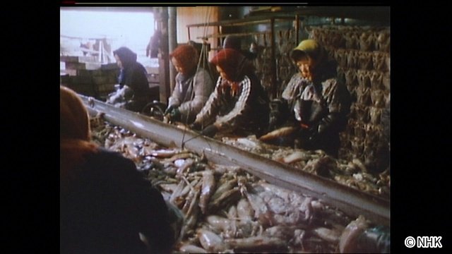 津軽海峡と共に歩んだ福島町の記憶がよみがえる「あなたの町の映像アルバム」