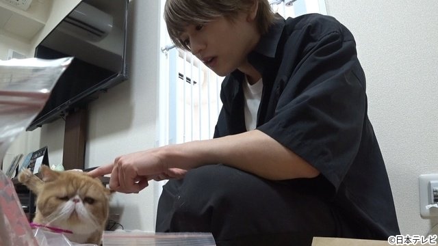 相葉雅紀MC「みんなの動物園」猪俣周杜が保護猫“ニャオハ”にメロメロ? 預かり生活を見守る