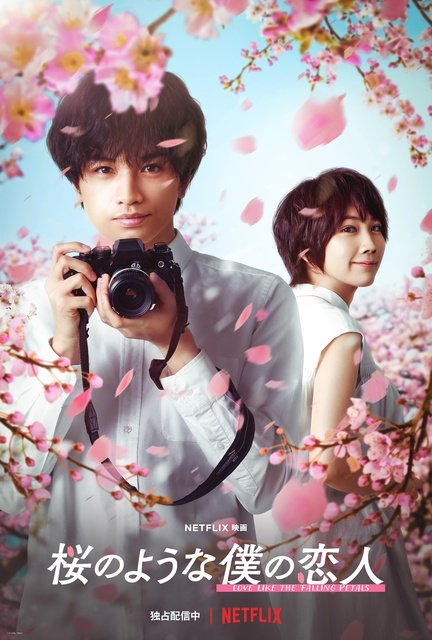 中島健人主演作「桜のような僕の恋人」などを一挙配信!「SとX」新場面写真も解禁