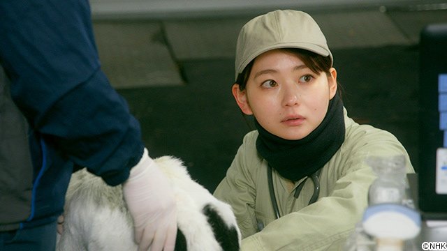 土曜ドラマ「リラの花咲くけものみち2」/第1回 土曜ドラマ「リラの花咲くけものみち2」/第1回