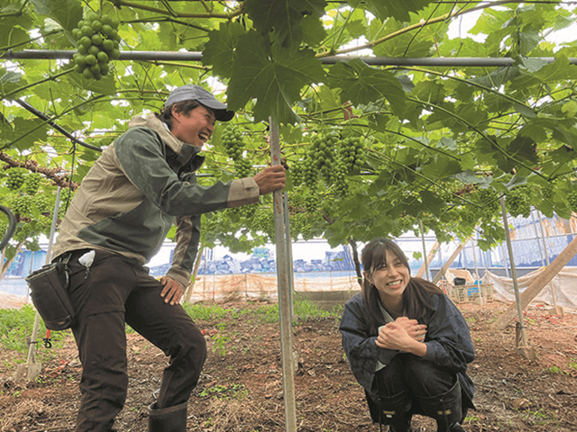 岡山県井原市で“ぶどう丼”開発に挑戦！　1kg級シャインマスカット・ピオーネの収穫に大興奮
