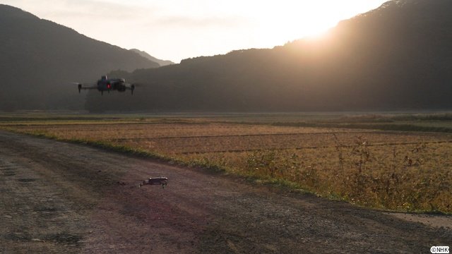 「ダーウィンが来た！」放送20周年！　相葉雅紀語りのミニコーナーなど特別企画がめじろ押し