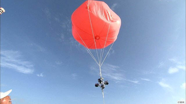 「ダーウィンが来た！」放送20周年！　相葉雅紀語りのミニコーナーなど特別企画がめじろ押し