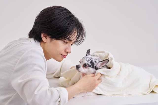 中島健人、Chuck’s TOKYOのブランドアンバサダーに！　愛犬・ボニータとの関係は「姫と執事」